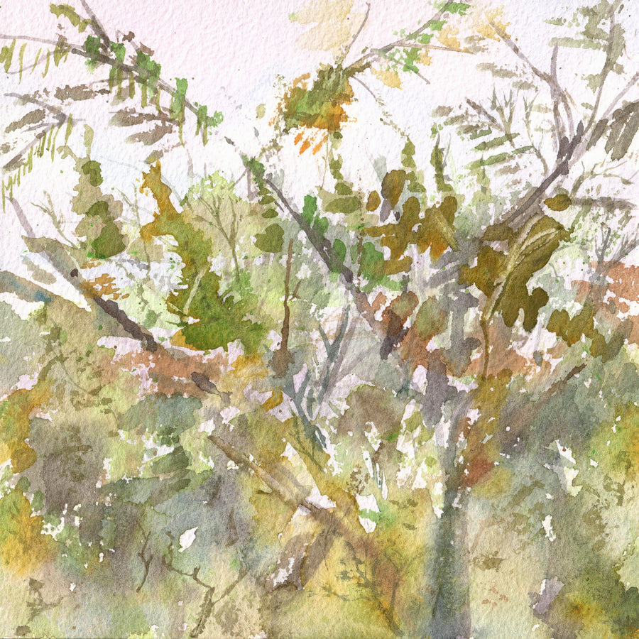 Through the Canopy, watercolour by JJ Eatherley