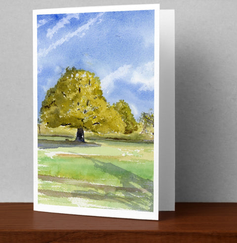 Summer Oak