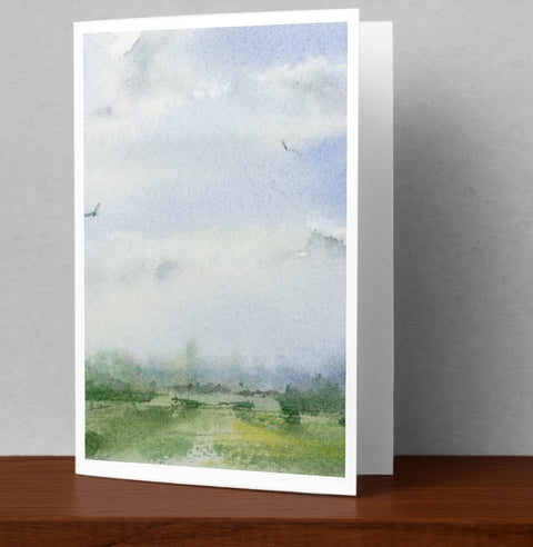Misty Meadow