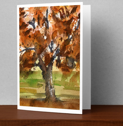 Copper Beech