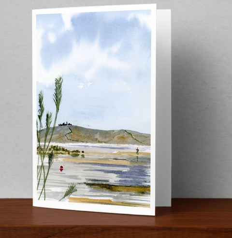 Shoreline Grasses
