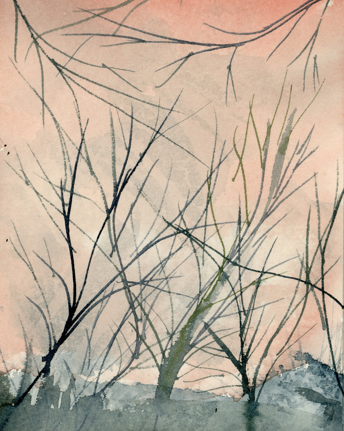 Winter Willows, Gunnersbury Triangle, watercolour by JJ Eatherley