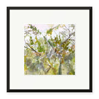 Brambles, framed print by JJ Eatherley