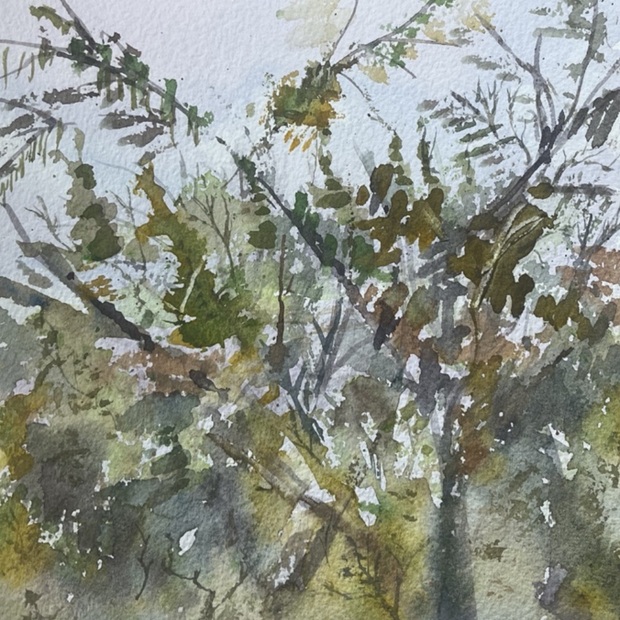 Through the Canopy by Jack Eatherley