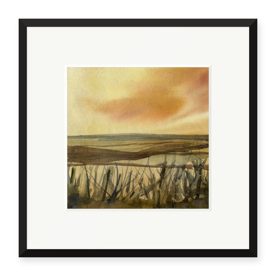 Reedbeds, London Wetland Centre, framed print by JJ Eatherley