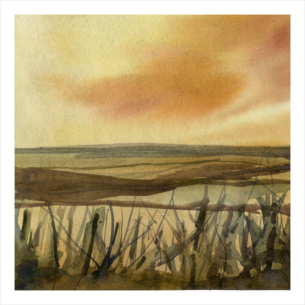 Reedbeds, London Wetland Centre, watercolour by JJ Eatherley